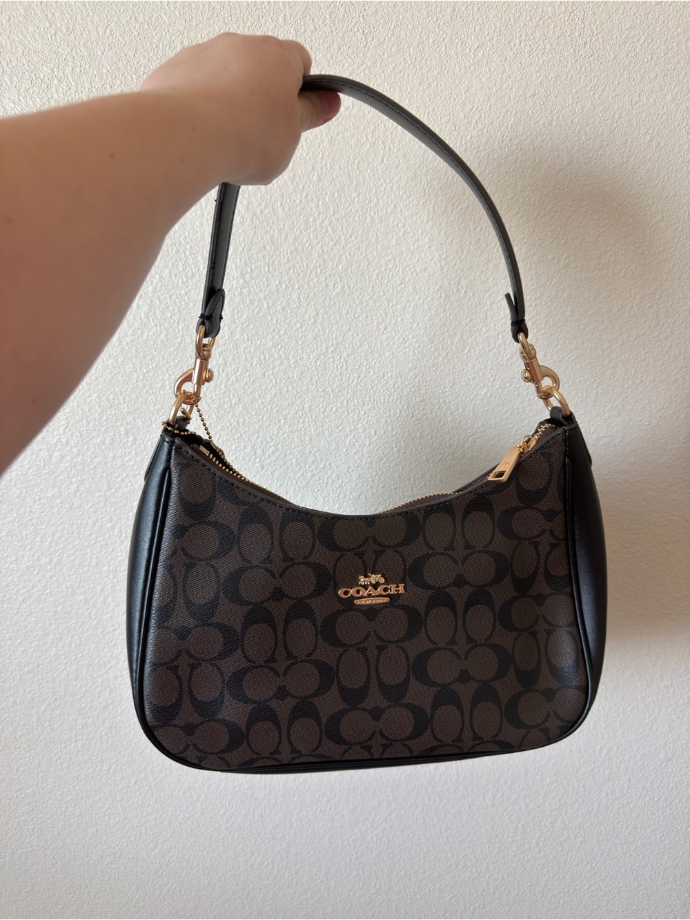 Coach Signature Teri Hobo Shoulder Bag - Brown